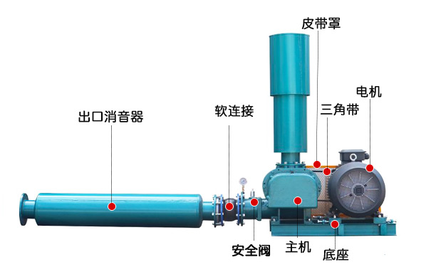 羅茨風機結(jié)構(gòu)介紹